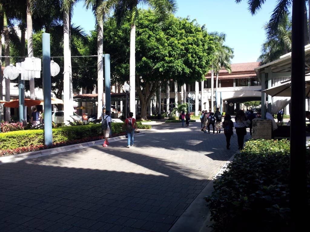 Seasonal Photo Opportunities