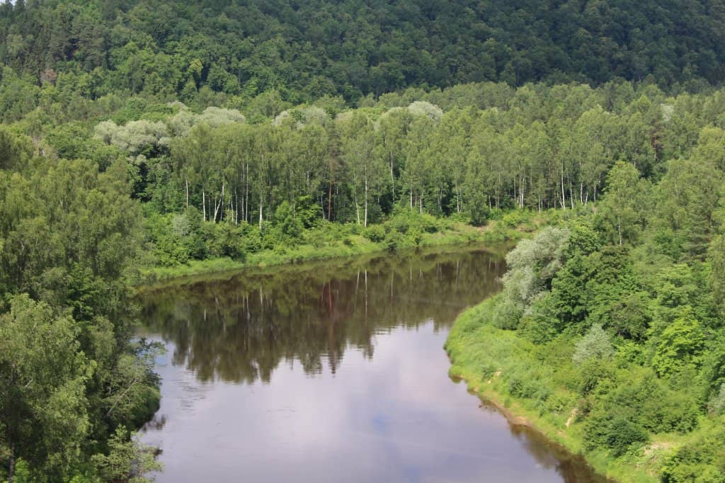 Aerial Perspective of Turaida Castle