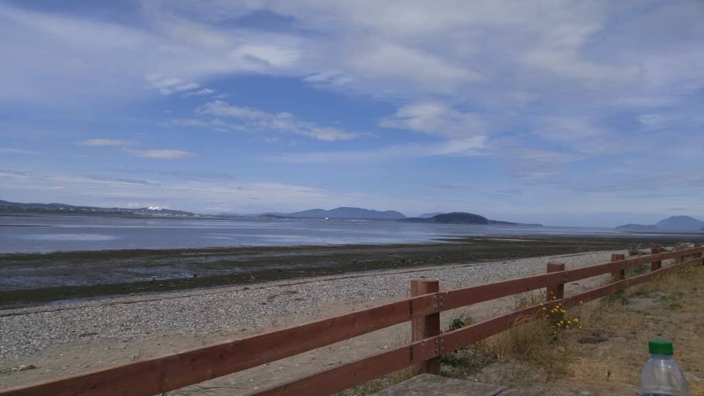 Waterfront Campsites