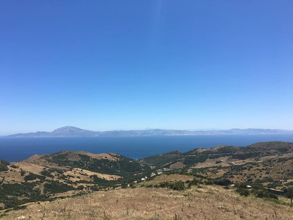 Bird Migration Spectacle