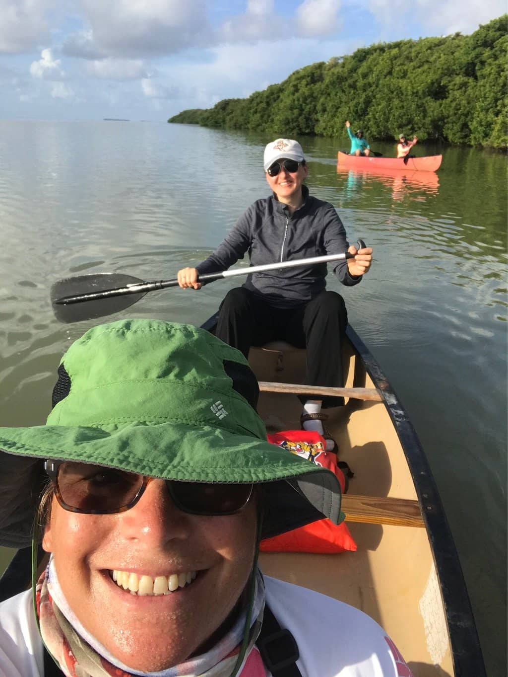 The Journey Through Nature