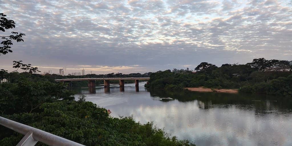 Local Dining and Entertainment