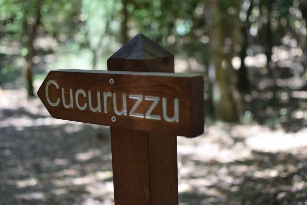 Magical Woodland Trails