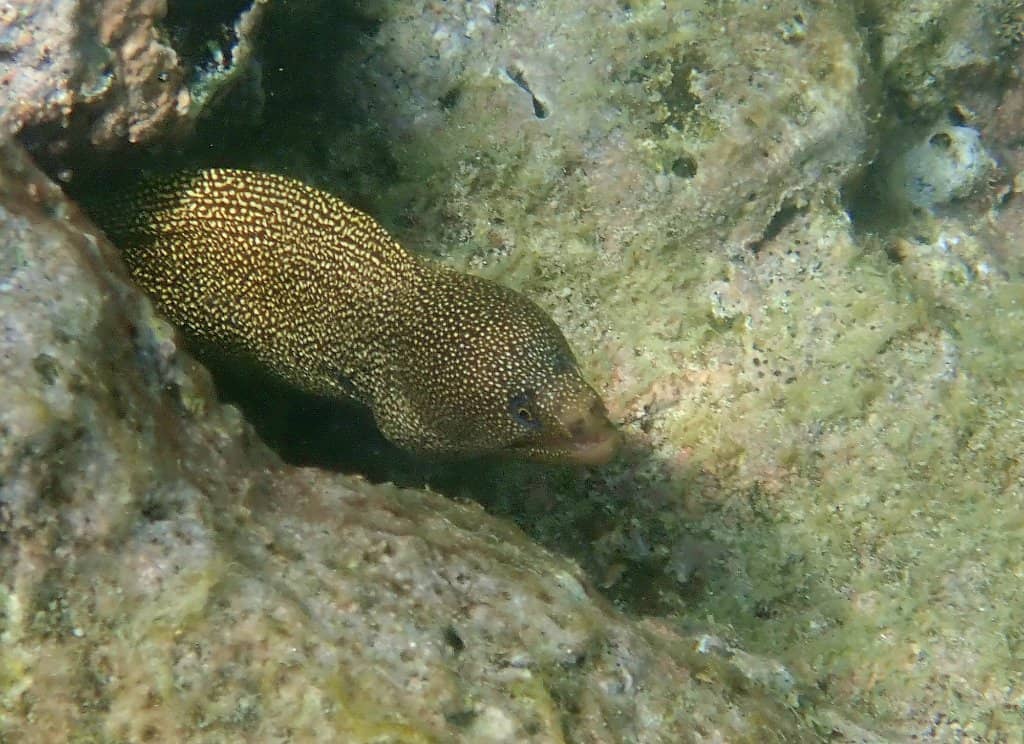 Marine Museum & Aquarium