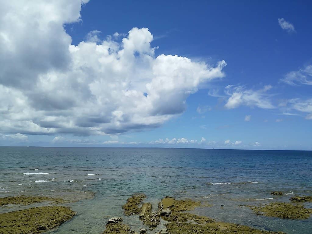 Marine Life Exploration