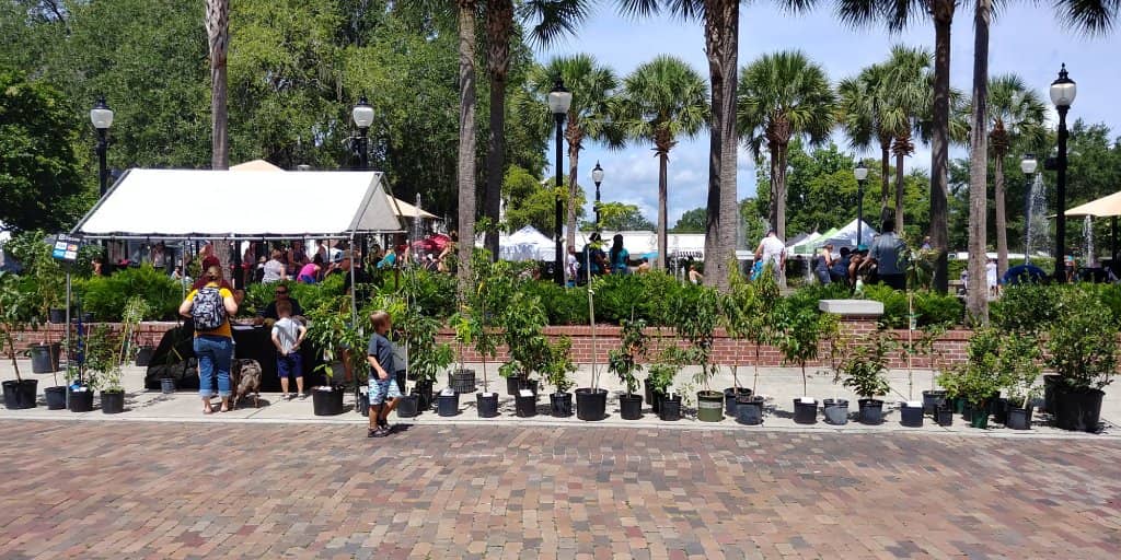 Unique Preserved Foods