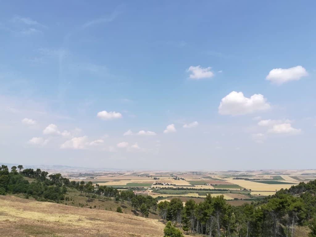 Scenic Walking Paths