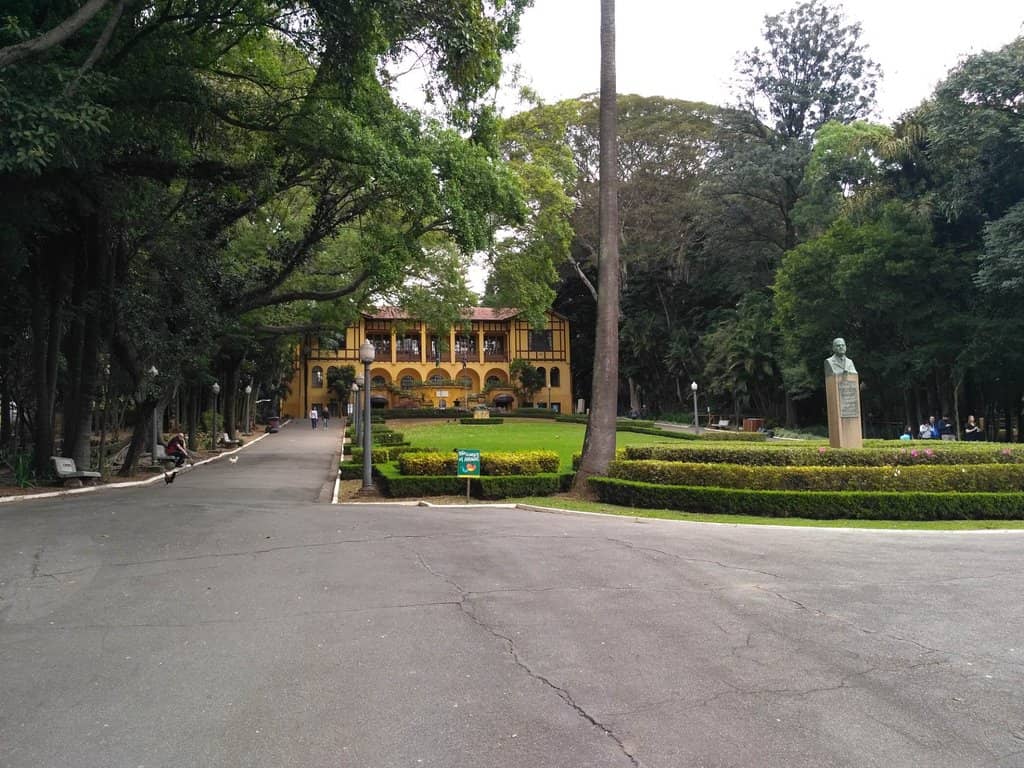 Organic Market Delights