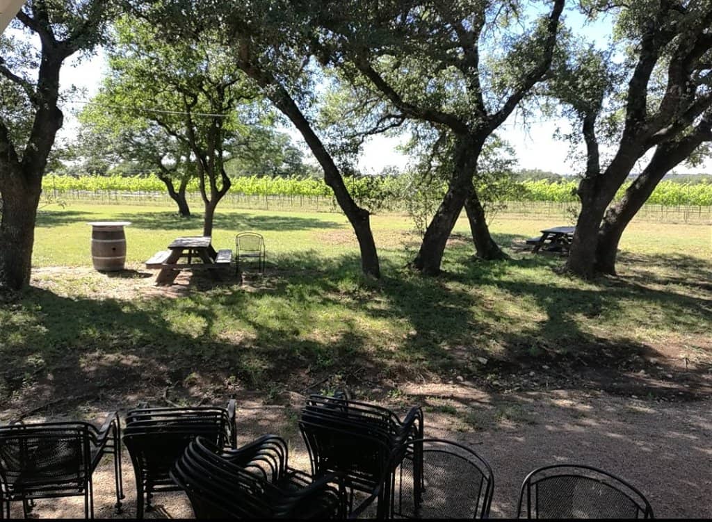 Cozy & Renovated Tasting Room