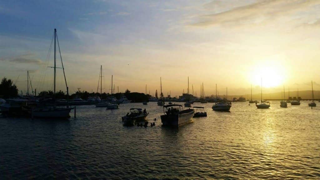 Food Kiosks and Vendors