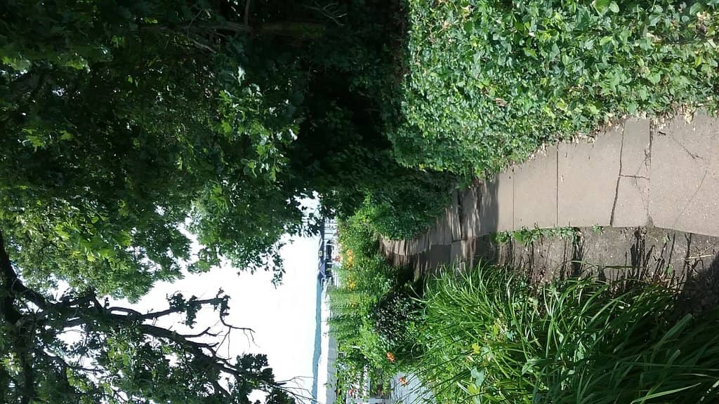 Lower Harbor Ore Dock