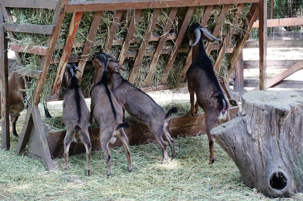 Educational Opportunities