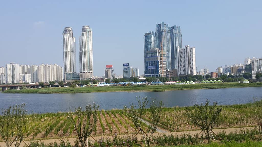 Bamboo Craftsmanship