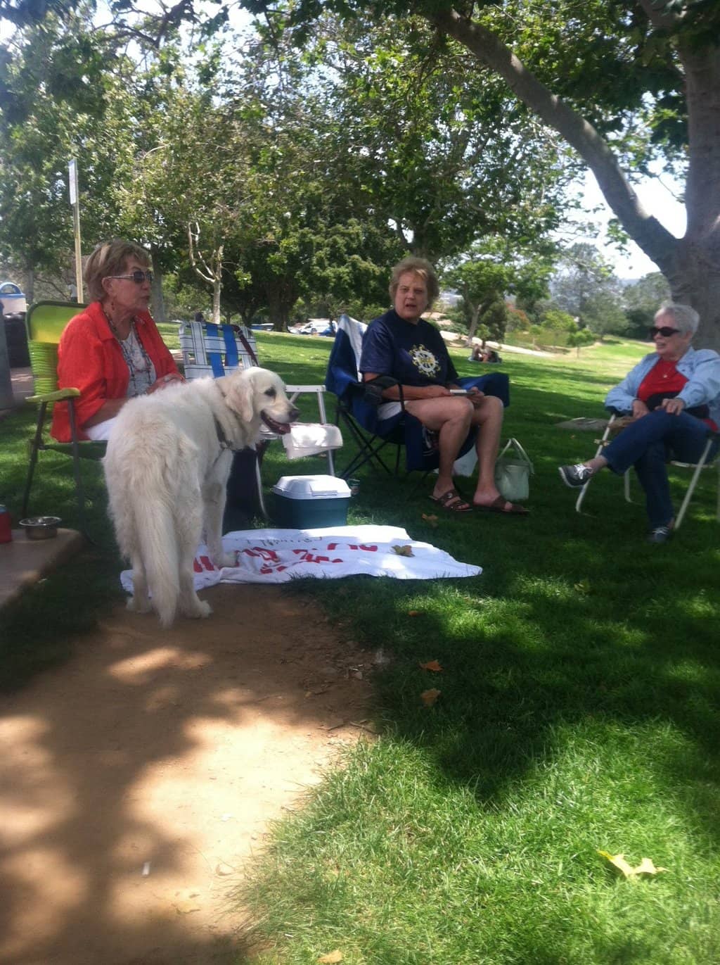 Panoramic City & Bay Views