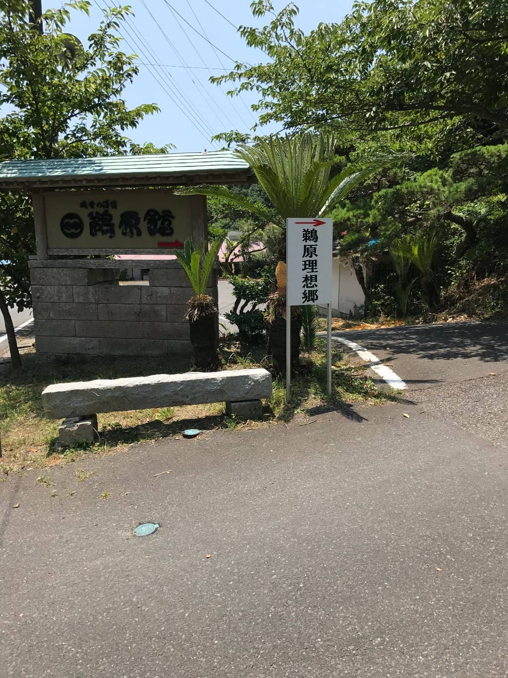 Tunnel and Trail Network