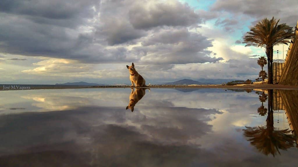 Calm Waters for Little Ones