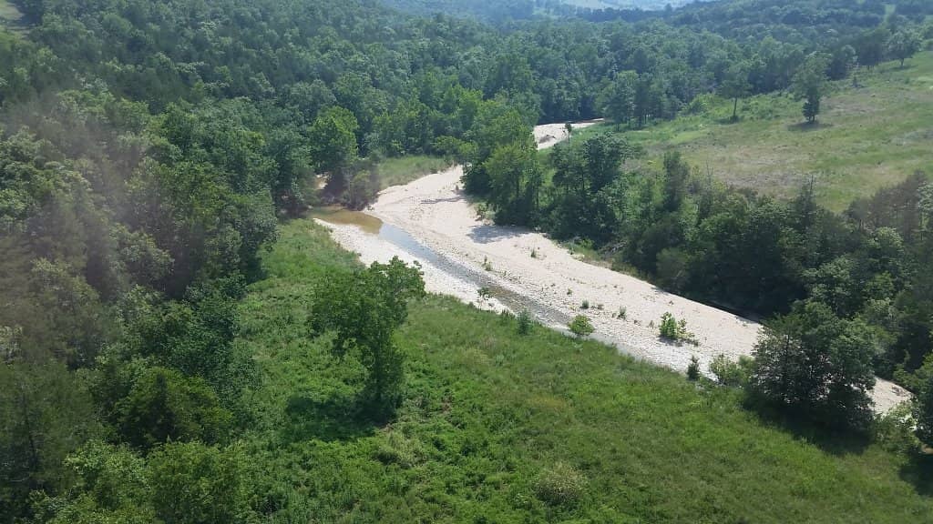 Dinner Train Experience