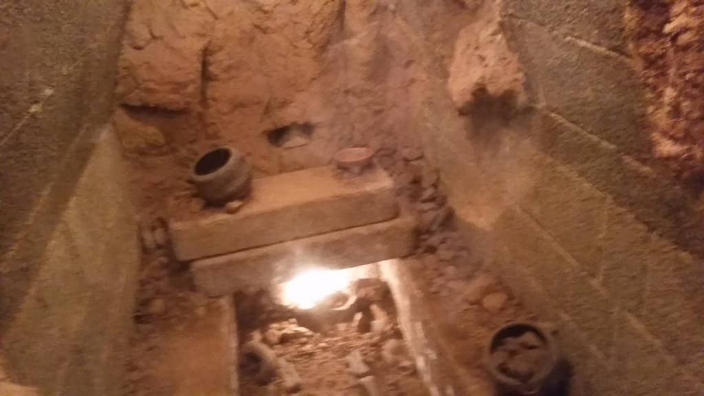 Wave Pool Excitement