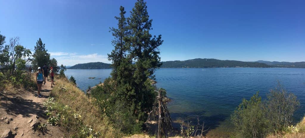 Native Vegetation & Wildlife