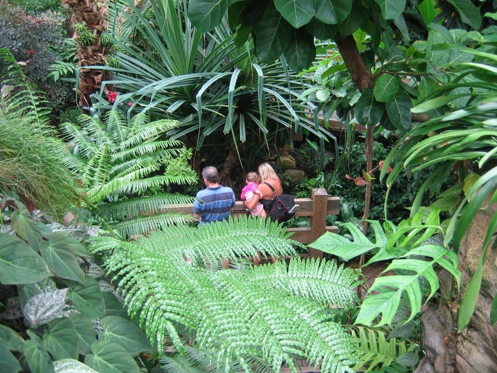 Bolz Conservatory