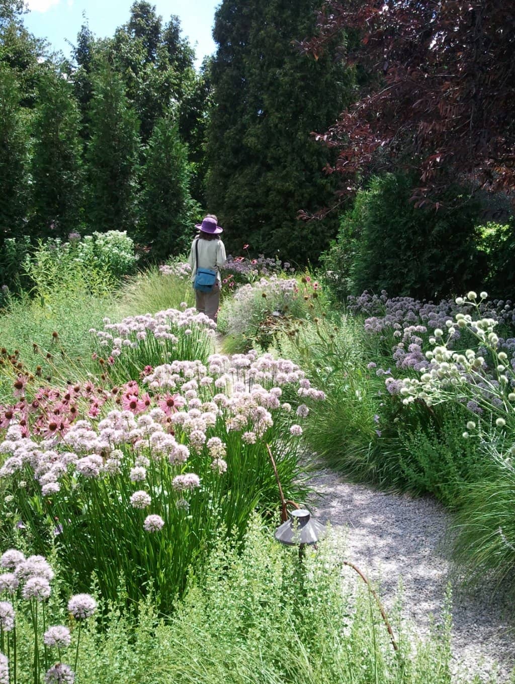 Rose Garden