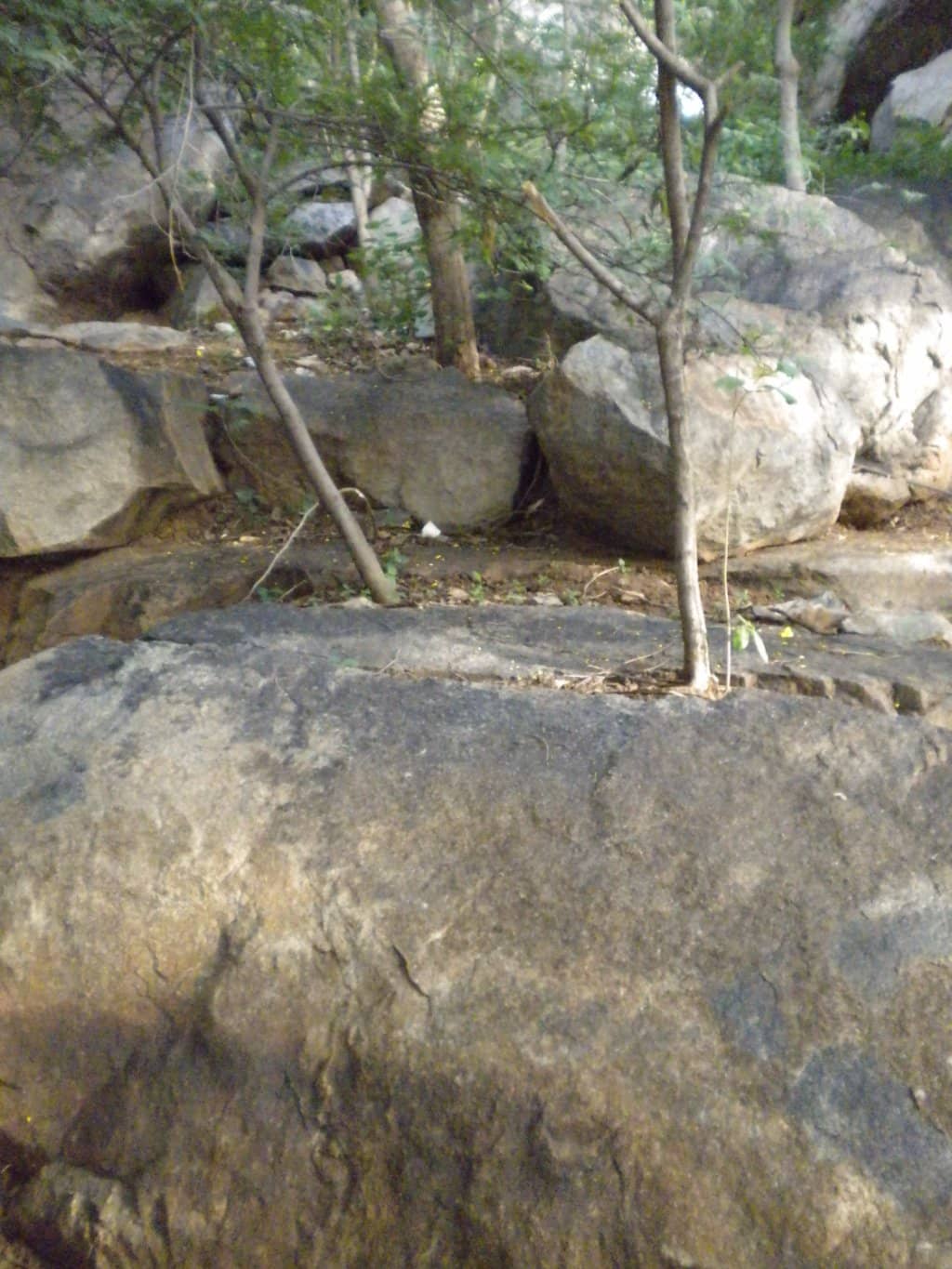 Musical Fountain Show