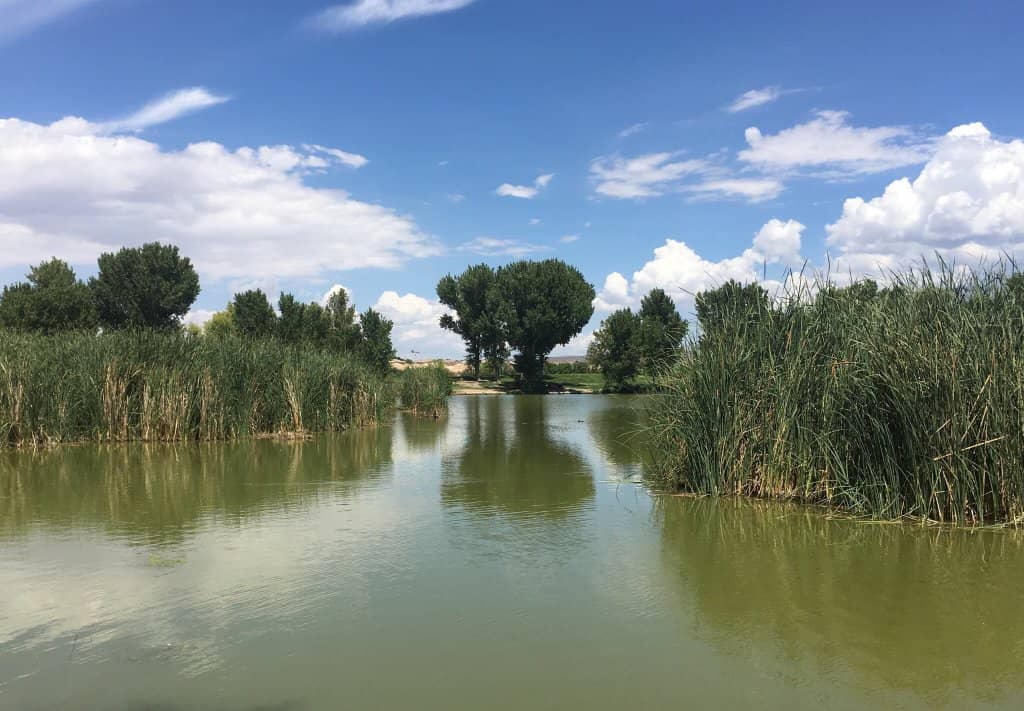 Tranquil Lakes & Wildlife