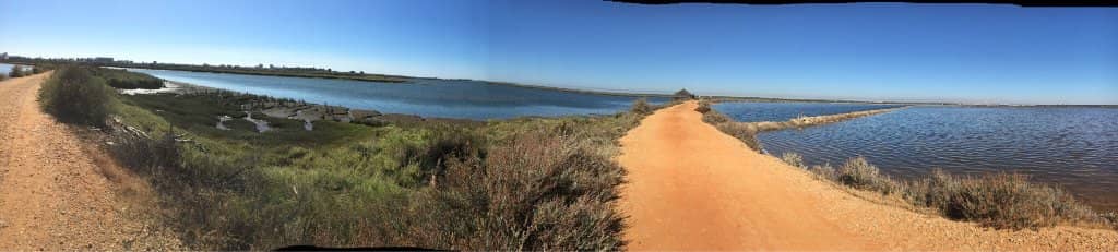 Birdwatching Paradise