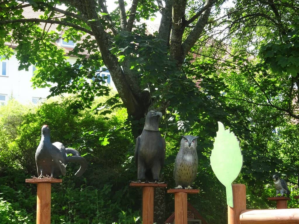 River and Forest Trails