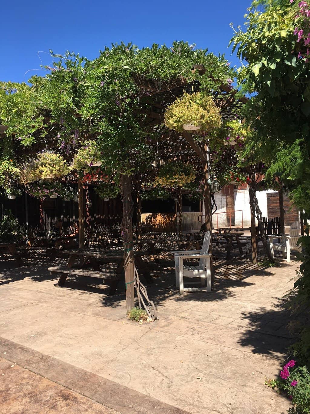 Champagne Tasting Events