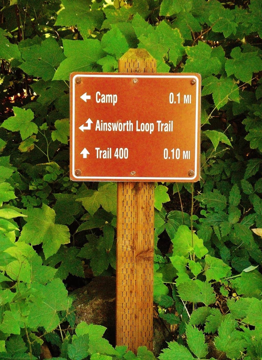 Columbia River Gorge Views