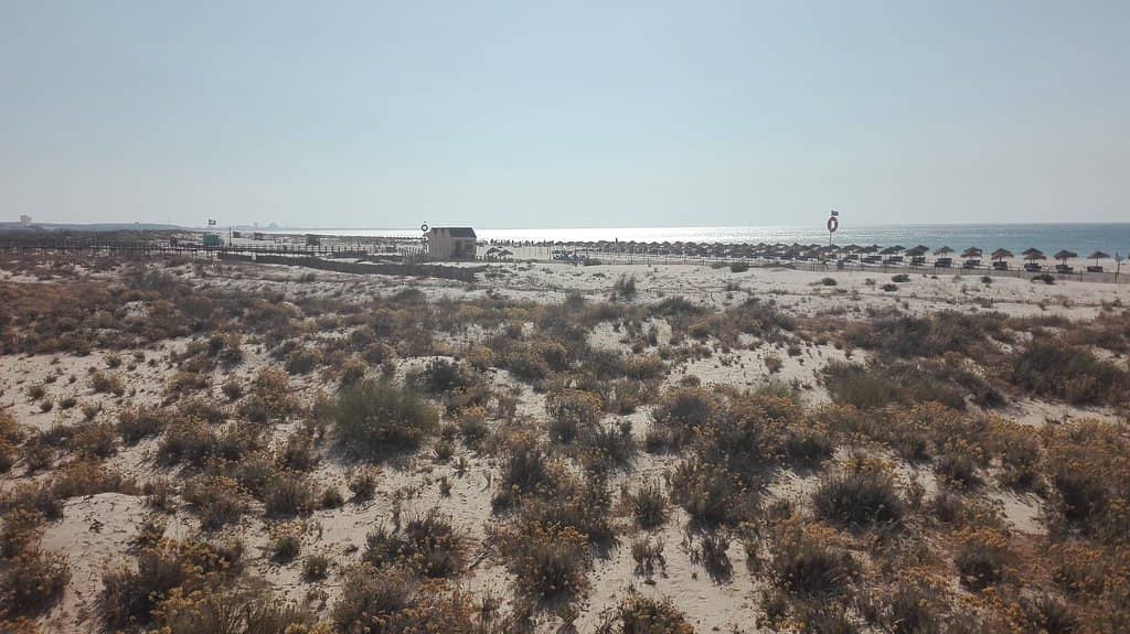Local Beachside Stalls