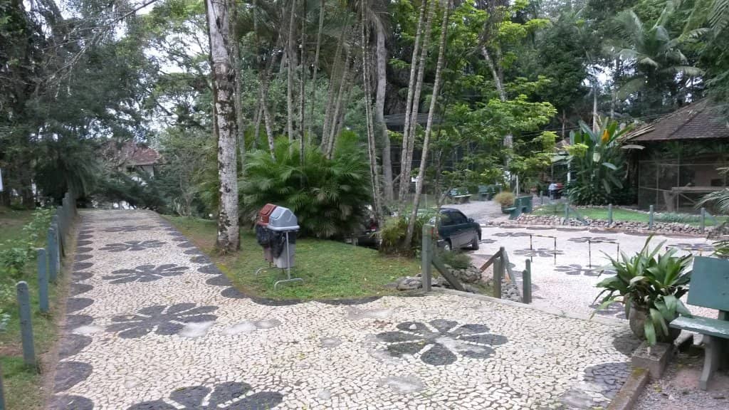 Diverse Animal Encounters