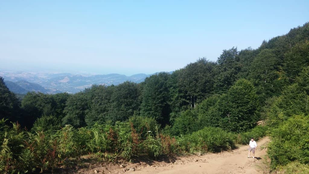 Fountain at the Entrance
