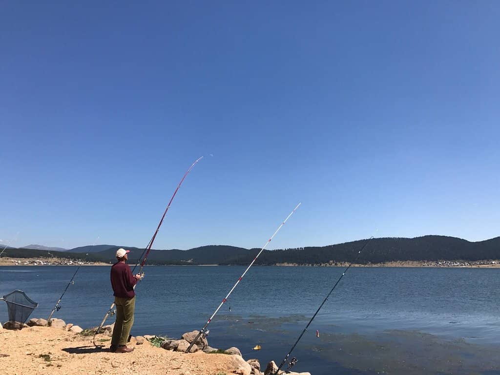 Tranquil Camping Spots