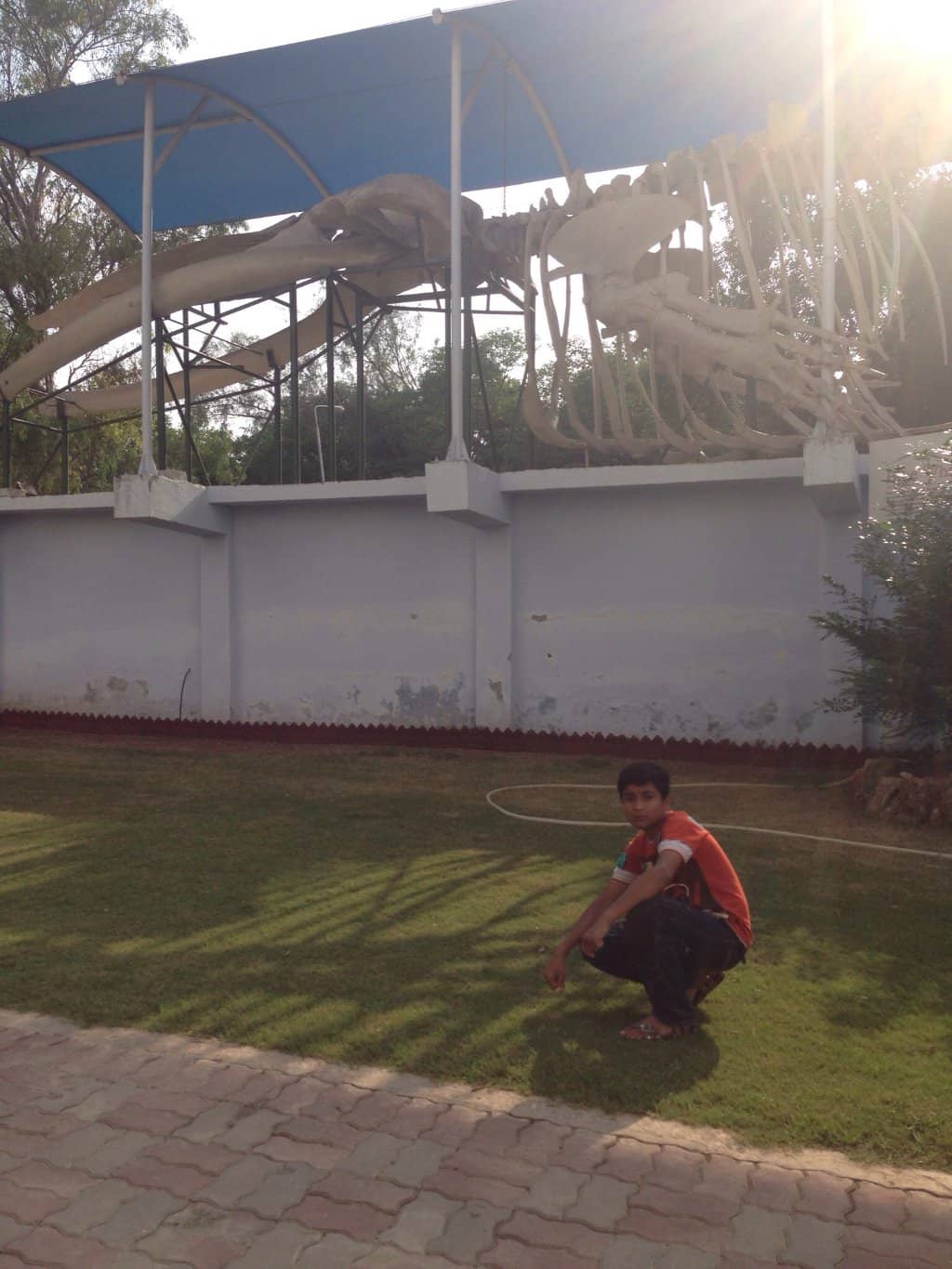 Pakistan's Diverse Wildlife