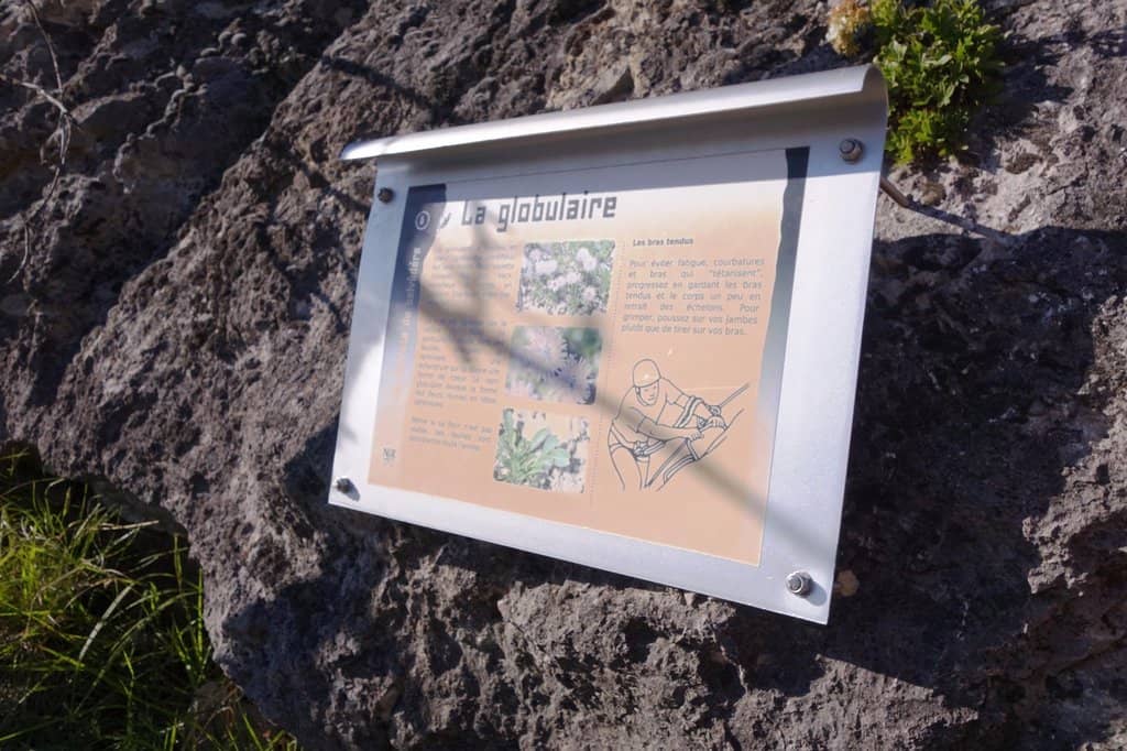 The Challenging Descent