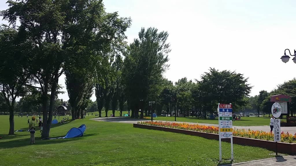 New Wooden Athletic Playground