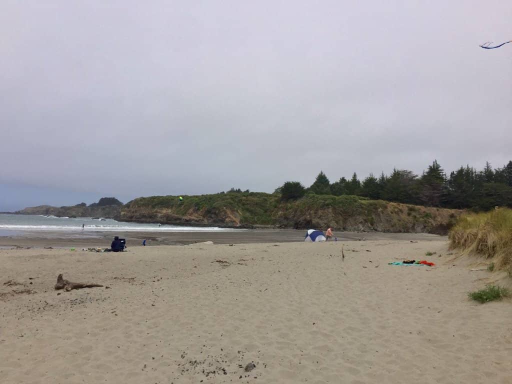 Shell & Abalone Hunting