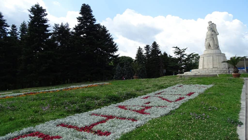 Vibrant Sea Garden Blooms