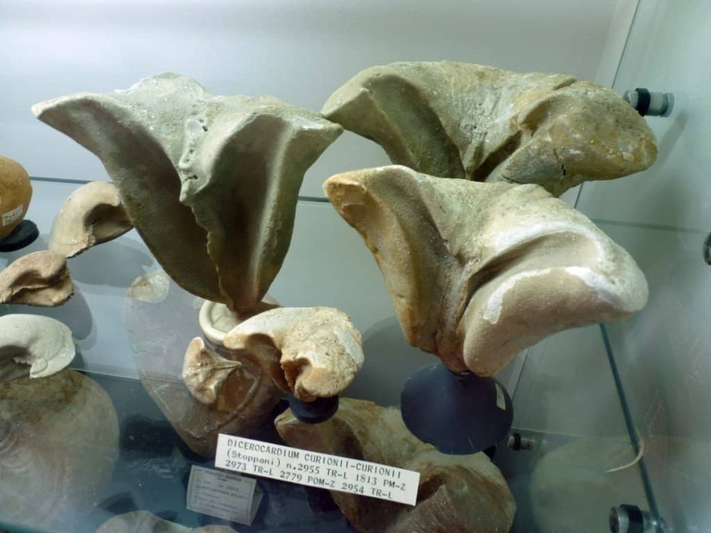 Filigree Jewelry Exhibition