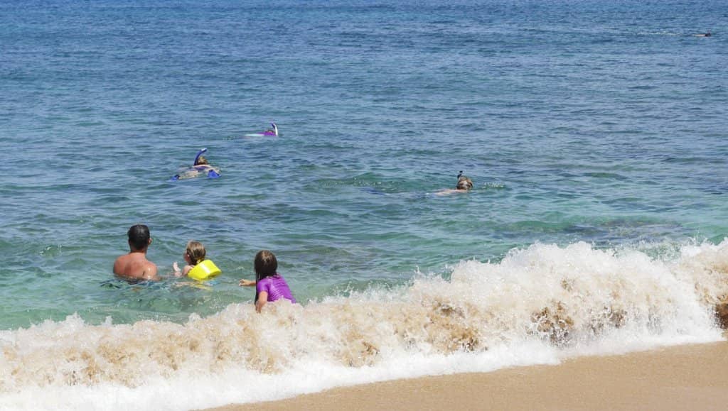 Abundant Marine Life