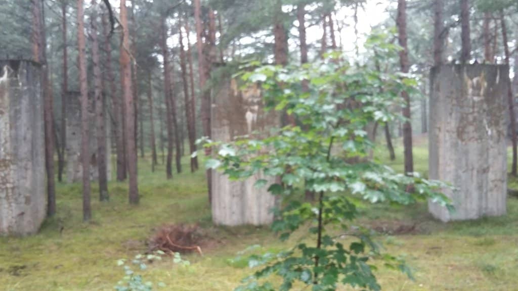 Volunteer-Led Insights