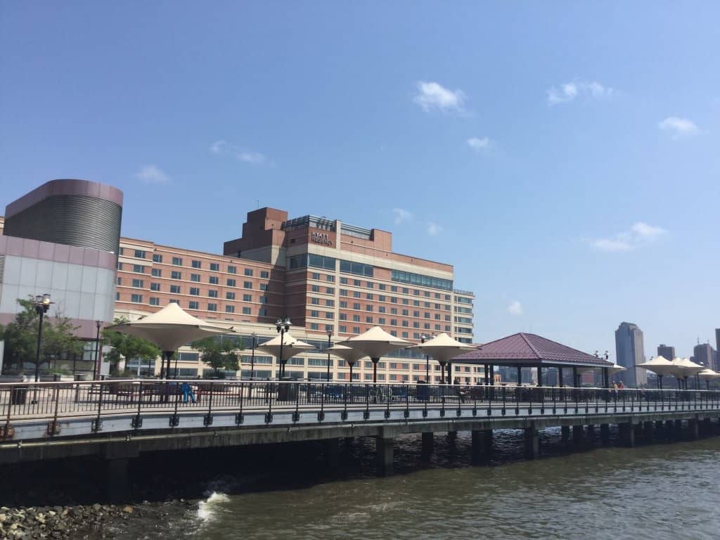 Manhattan Skyline Views