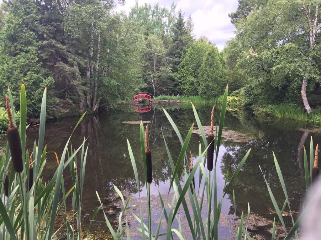 The Cabot Family's Vision