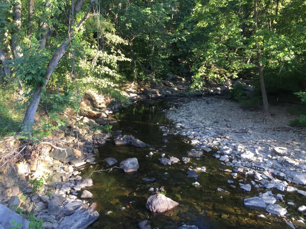 Wasena Park & Pump Track
