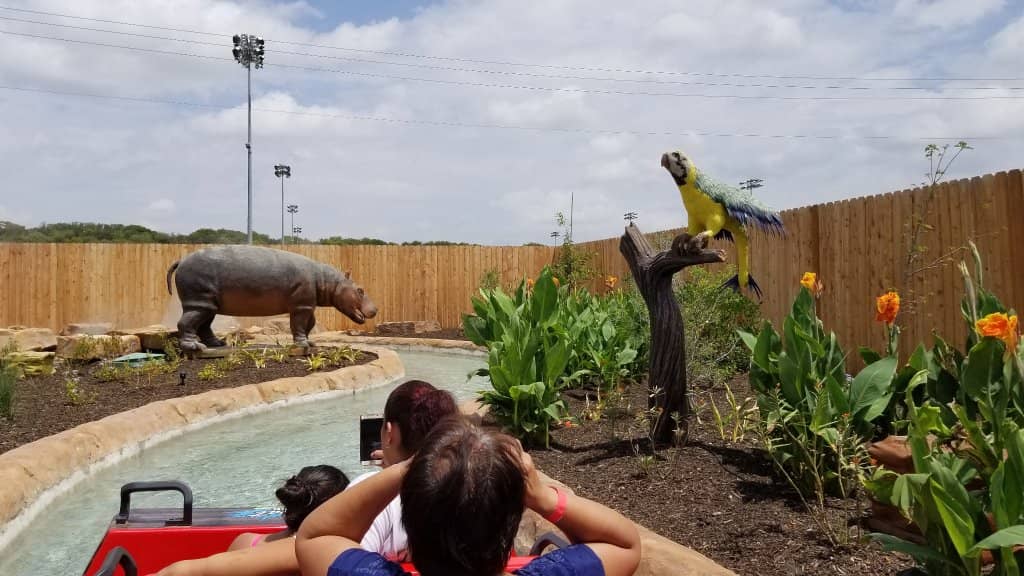 Catch-and-Release Fishing