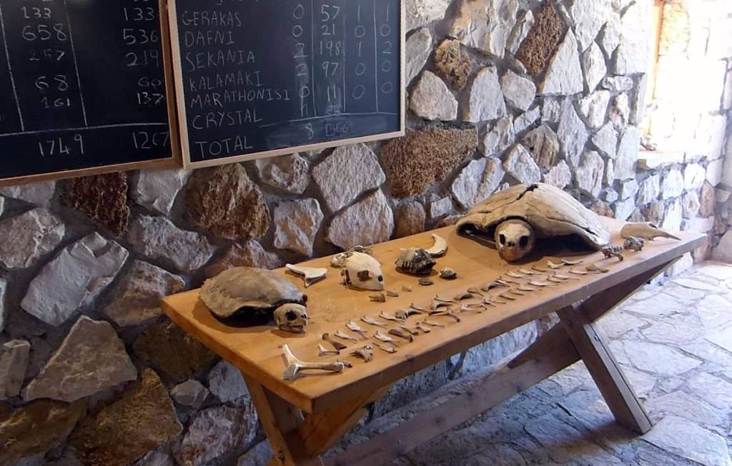 Educational Exhibits