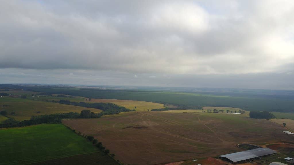 Coffee and Strudel Delights