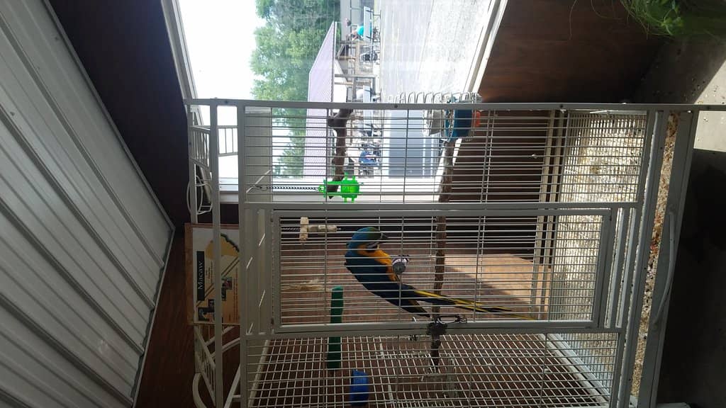 Sloth & Red Panda Exhibits